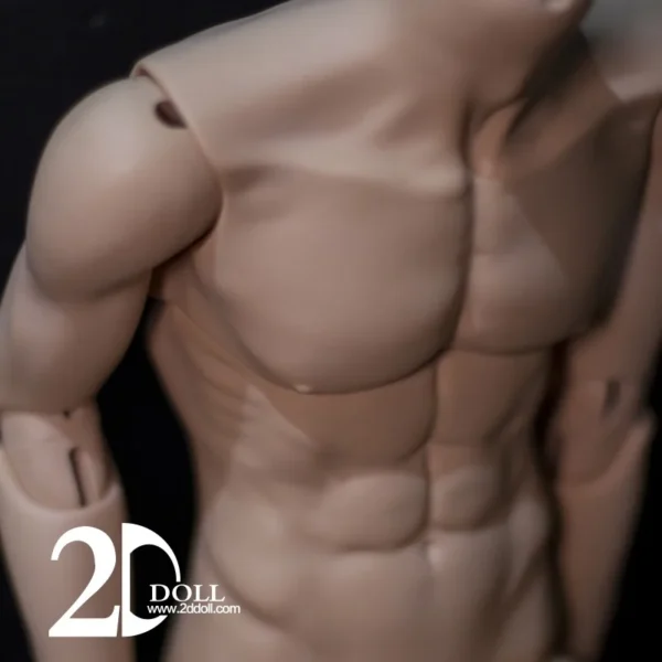 「2dDoll」75cm 2.0 (2part Torso) BJD Doll Body Only