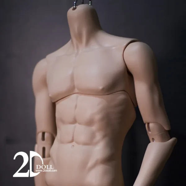 「2dDoll」75cm 2.0 (2part Torso) BJD Doll Body Only - Image 2