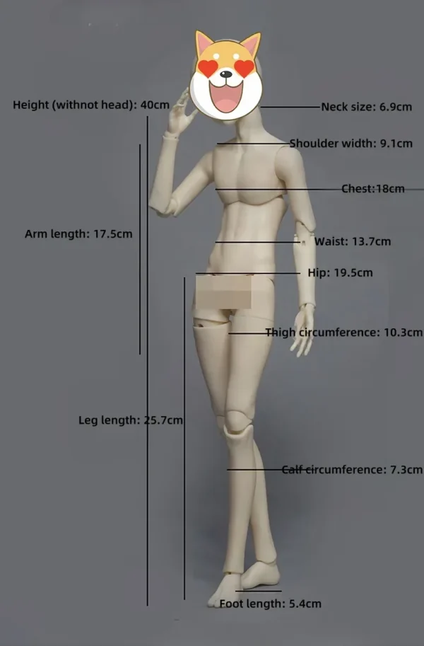 40-48cm BJD Head/ Full Doll Only - Image 3