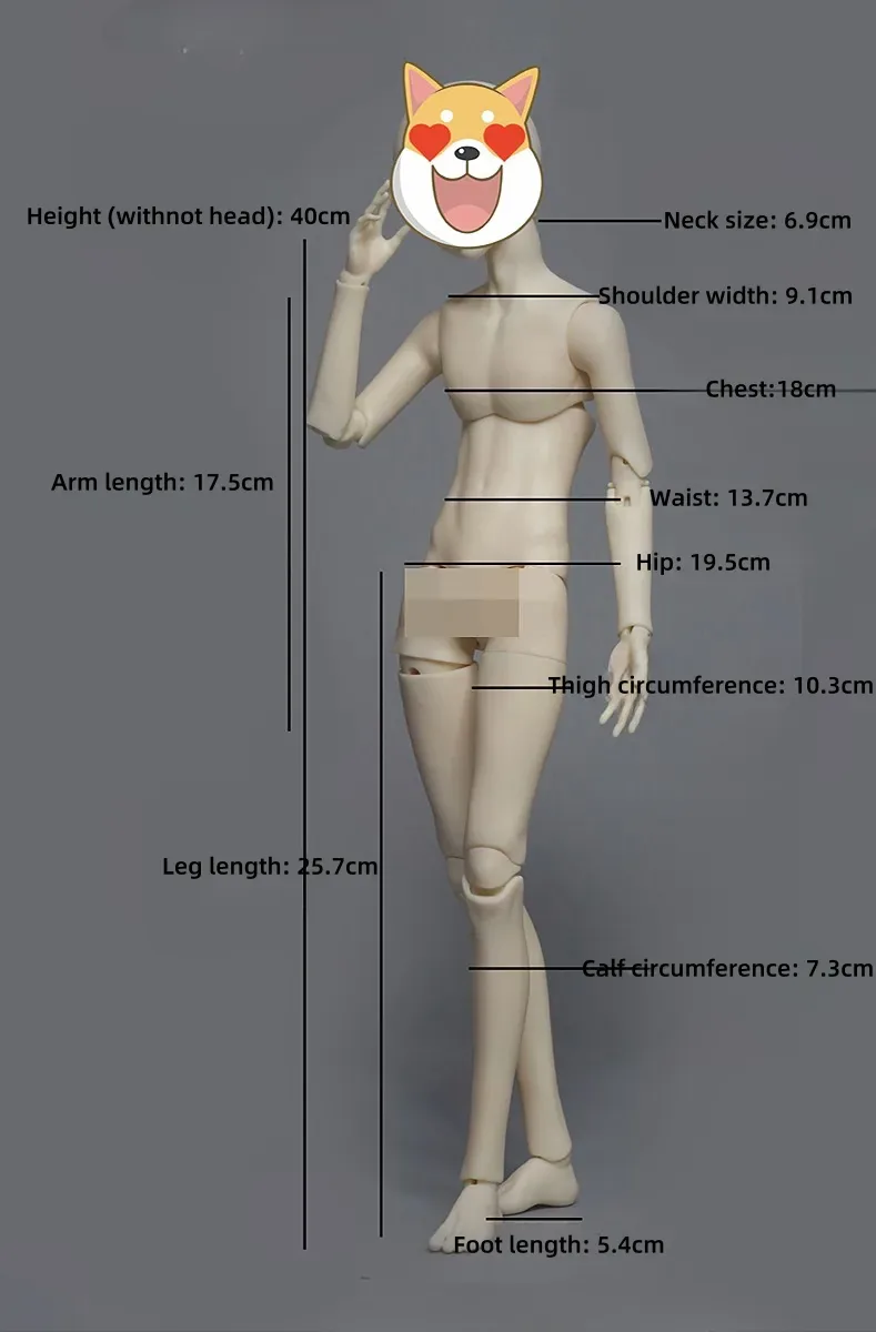 40-48cm BJD Head/ Full Doll Only - Image 3