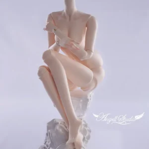 「Angell Studio」Body Comparison (Measurement) / Only Body (1/6, 1/4, 1/3)