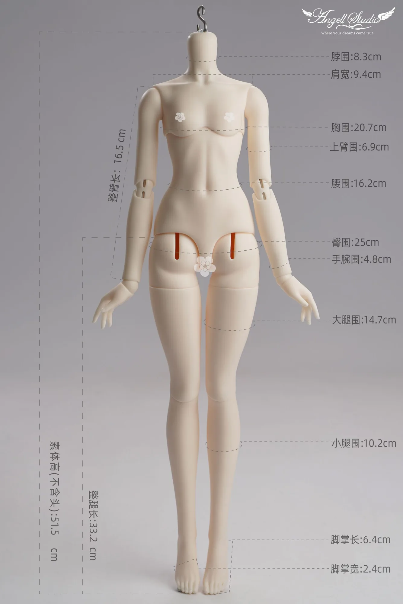 「Angell Studio」Body Comparison (Measurement) / Only Body (1/6, 1/4, 1/3) - Image 3