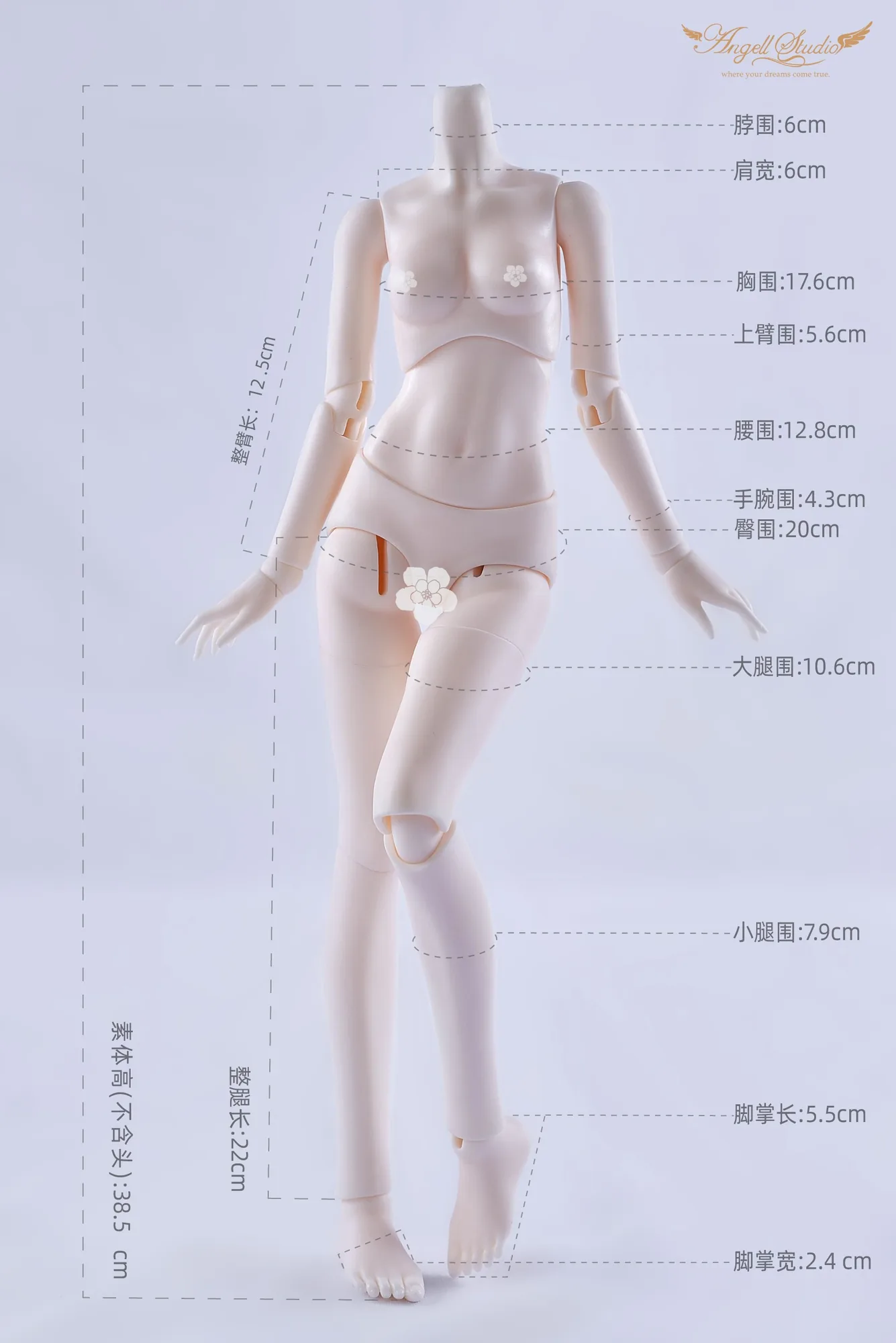 「Angell Studio」Body Comparison (Measurement) / Only Body (1/6, 1/4, 1/3) - Image 7
