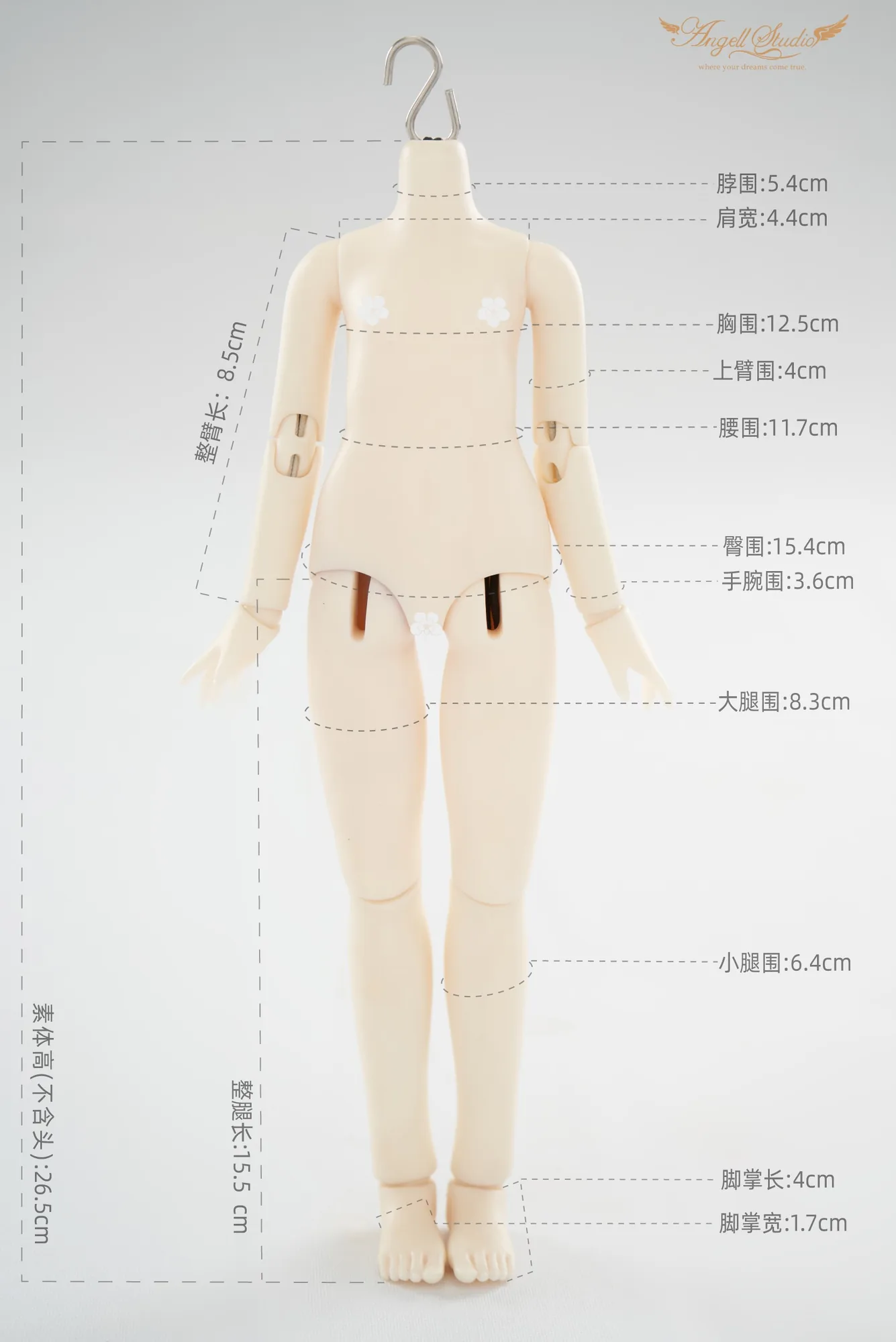 「Angell Studio」Body Comparison (Measurement) / Only Body (1/6, 1/4, 1/3) - Image 8