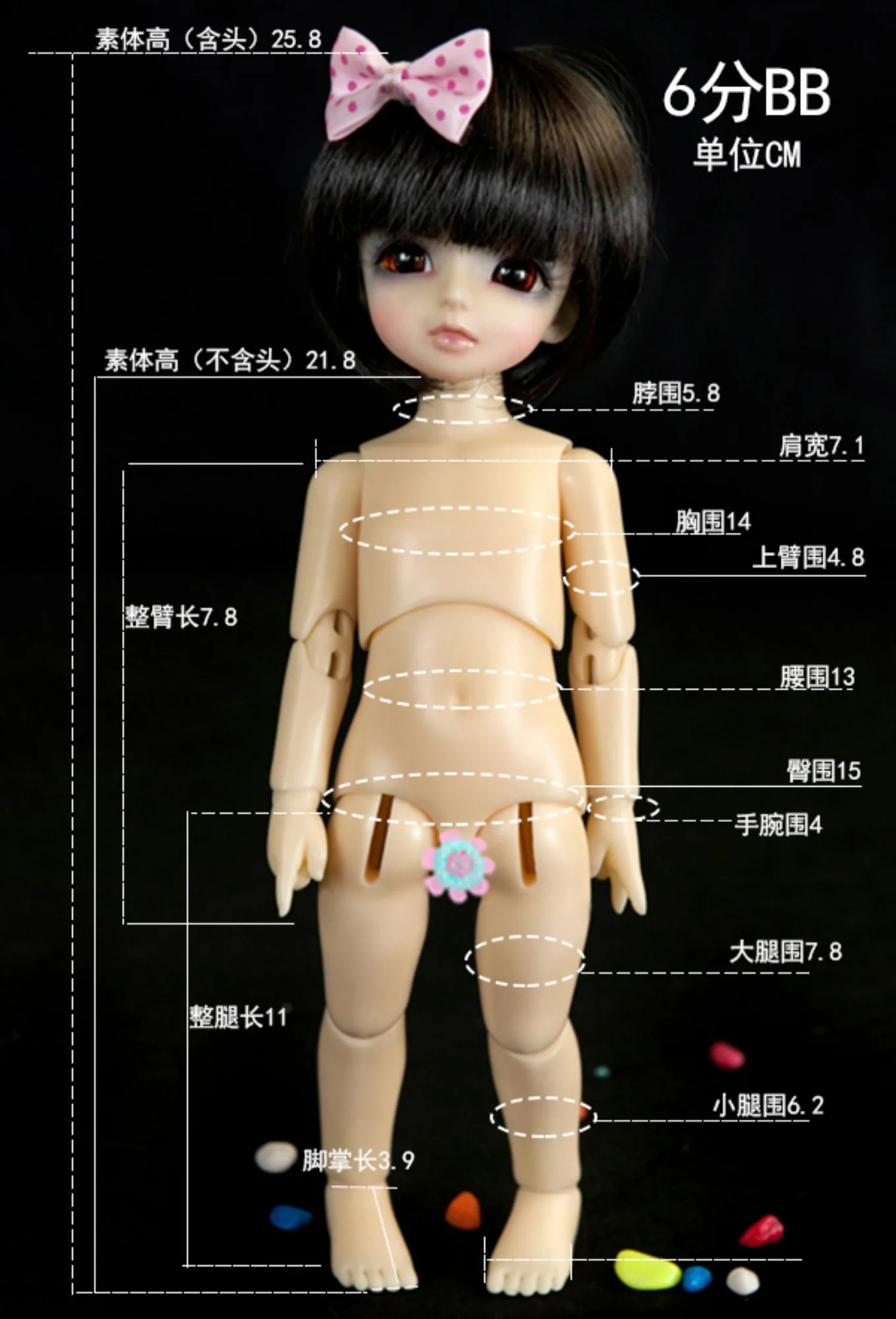 「Angell Studio」Body Comparison (Measurement) / Only Body (1/6, 1/4, 1/3) - Image 9