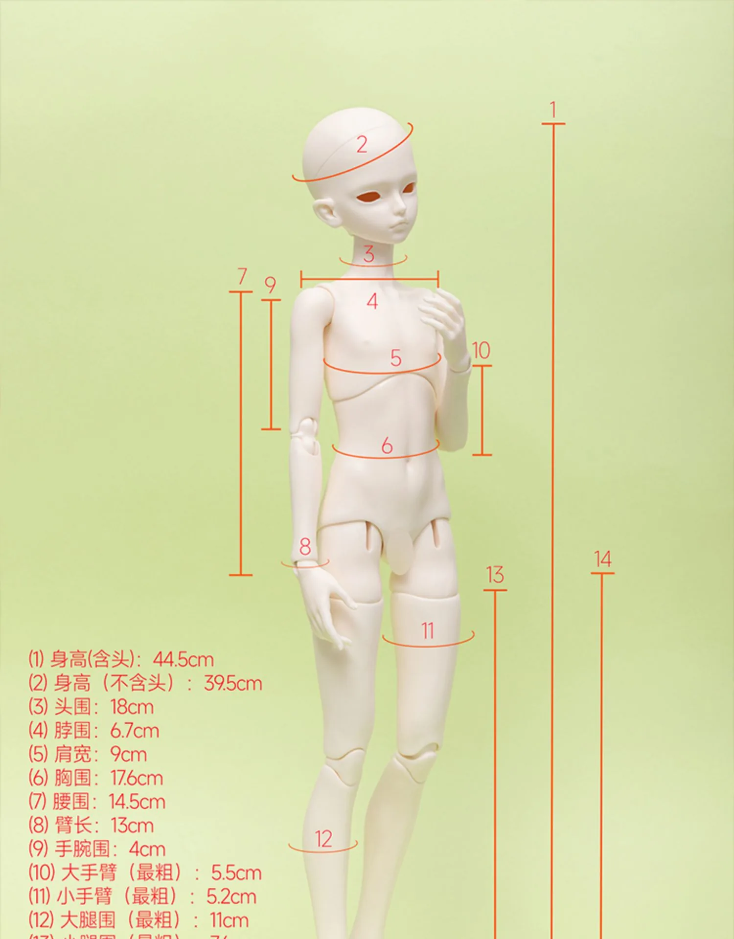 「BonBon Galaxy」Body Comparison - Image 5