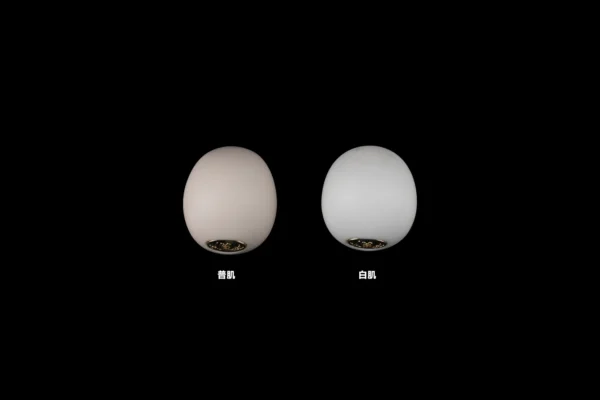「BonBon Galaxy」Skin Comparison