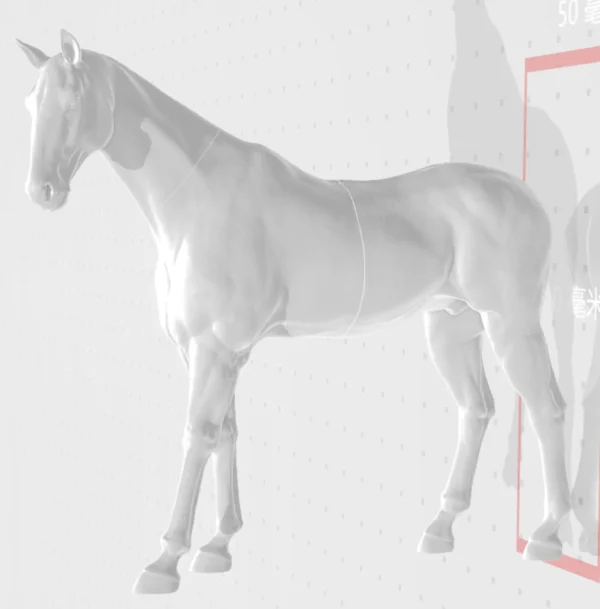「BUFFER STOCK」NiYa Horse for SD BJD - Image 7