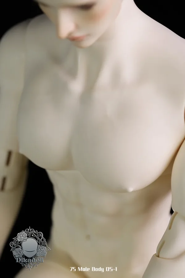 「Dikadoll (DK)」75cm Chest Body Part (DS-01)  BJD Boy Doll Body Only - Image 3