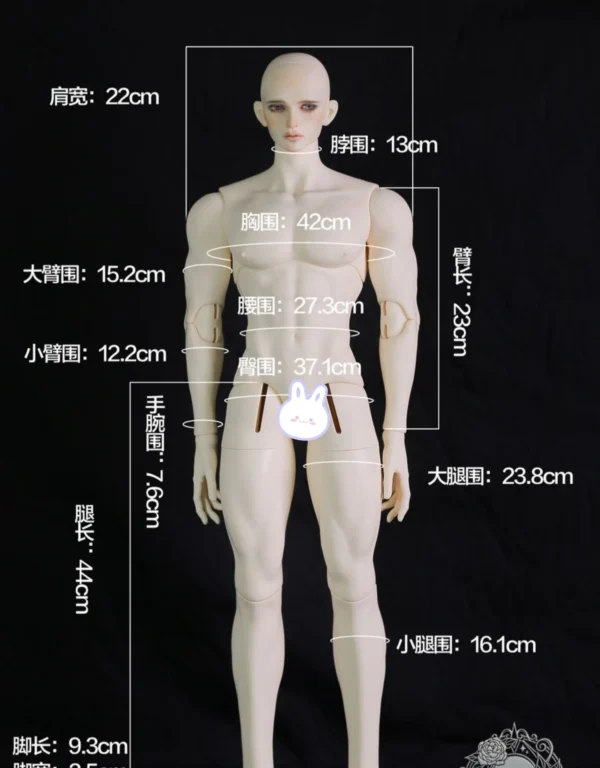 「Dikadoll (DK)」75cm Muscular (DS-01)  BJD Boy Doll Body Only - Image 2