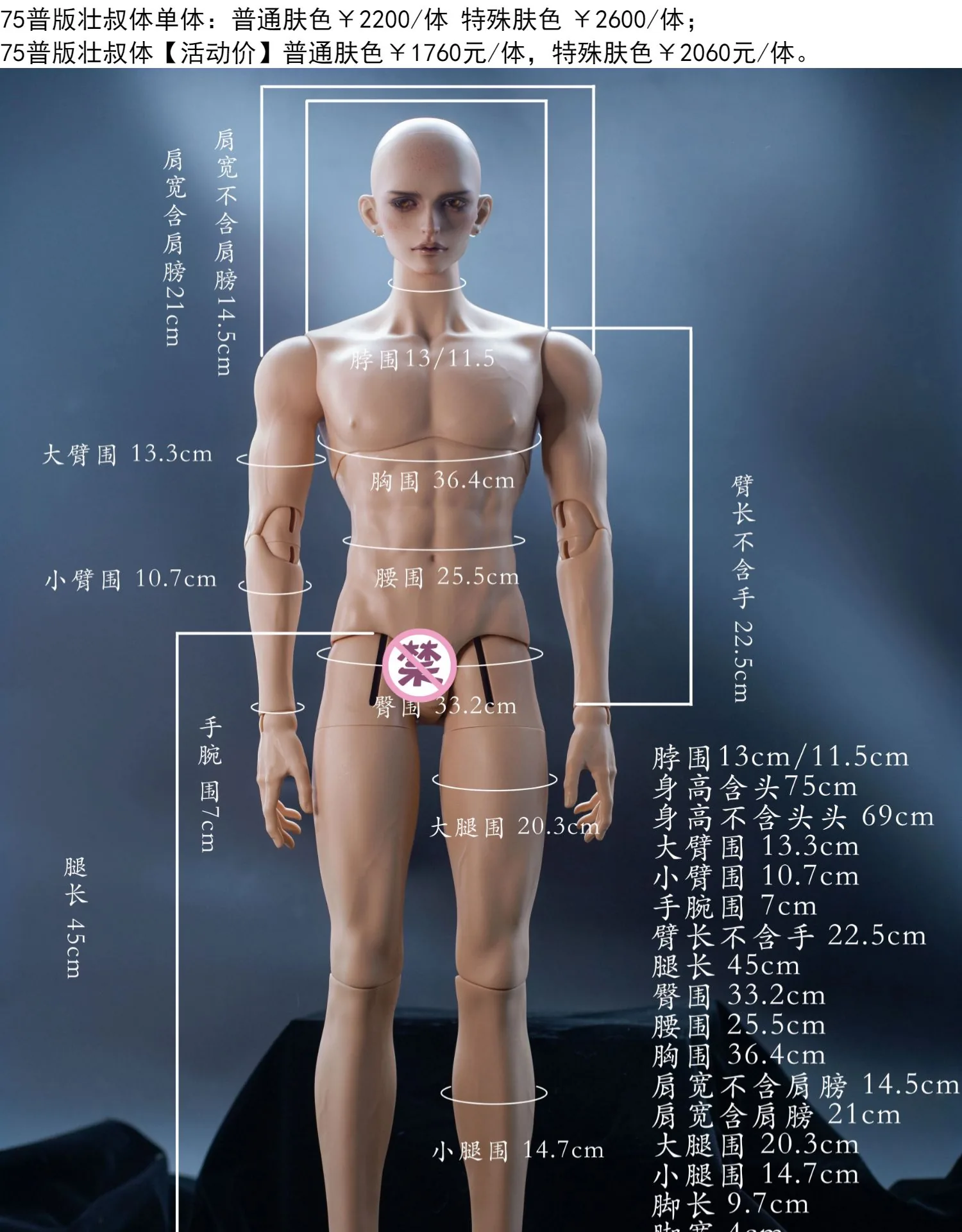 「Dikadoll (DK)」75cm Muscular (DS-02) BJD Boy Doll Body Only - Image 2