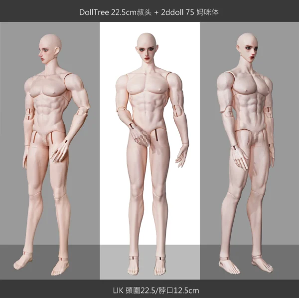 「DollTree」Lik ID75 and above Doll Only - Image 15