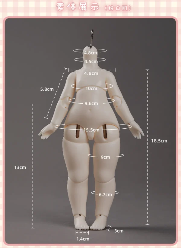 「Dollyzone」Body Comparison (Measurement) / Only Body (1/6, 1/4, 1/3) - Image 2