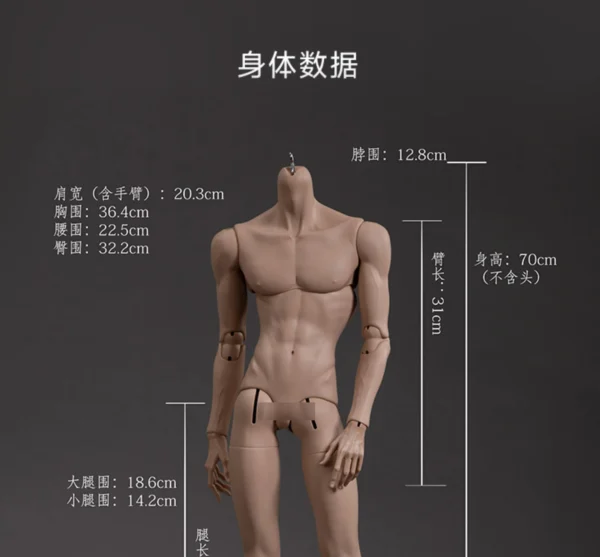 「Dollzone」75cm Uncle Body BJD Body Only - Image 9
