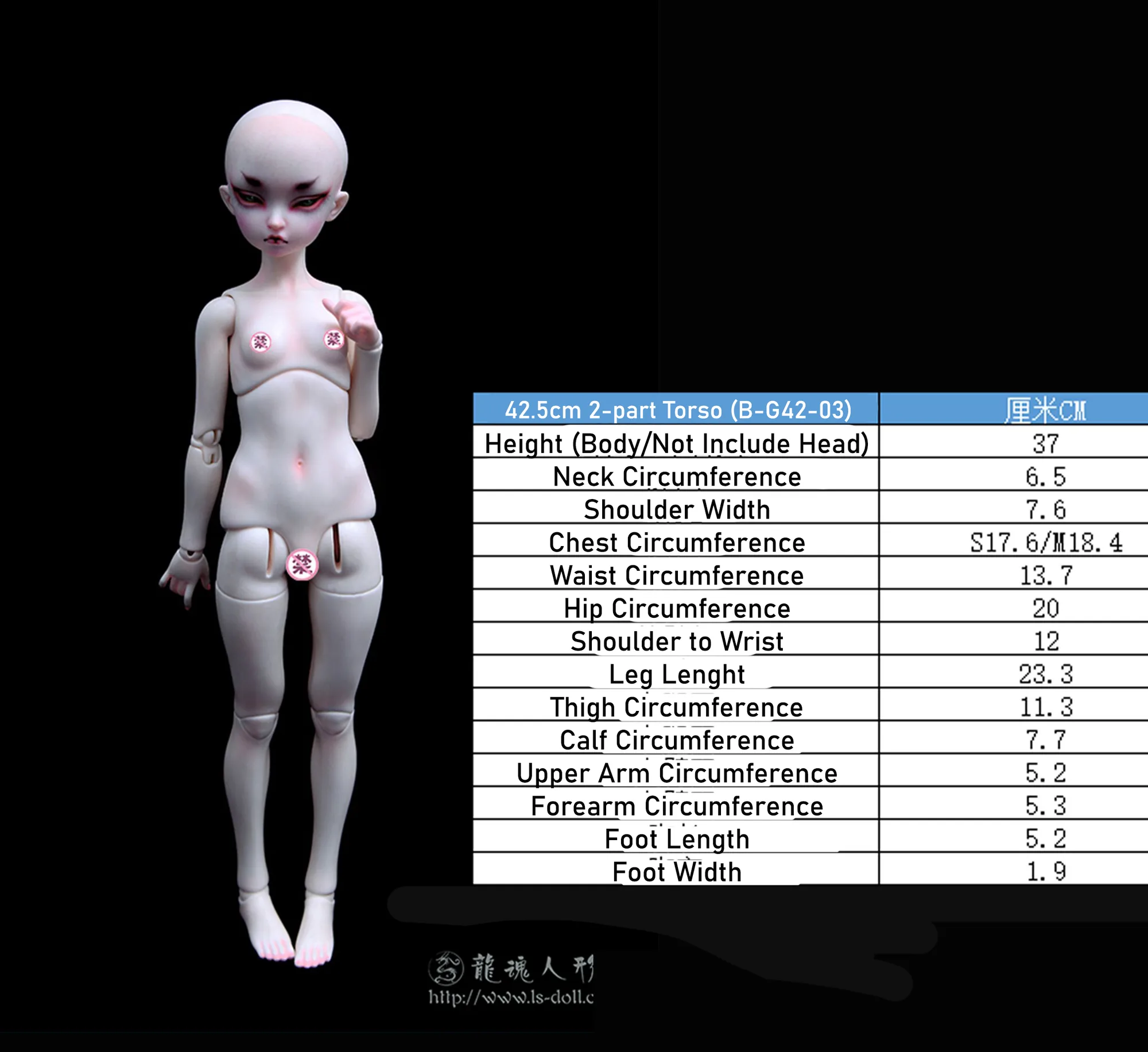 「LoongSoul」Body Comparison (Measurement) / Only Body (1/6, 1/4, 1/3) - Image 13