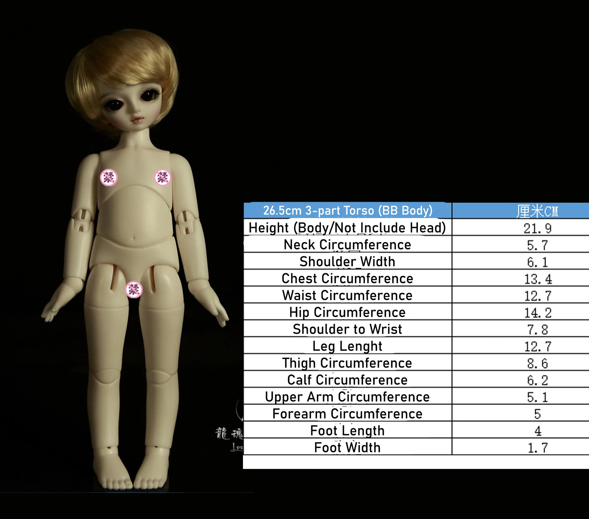 「LoongSoul」Body Comparison (Measurement) / Only Body (1/6, 1/4, 1/3) - Image 15
