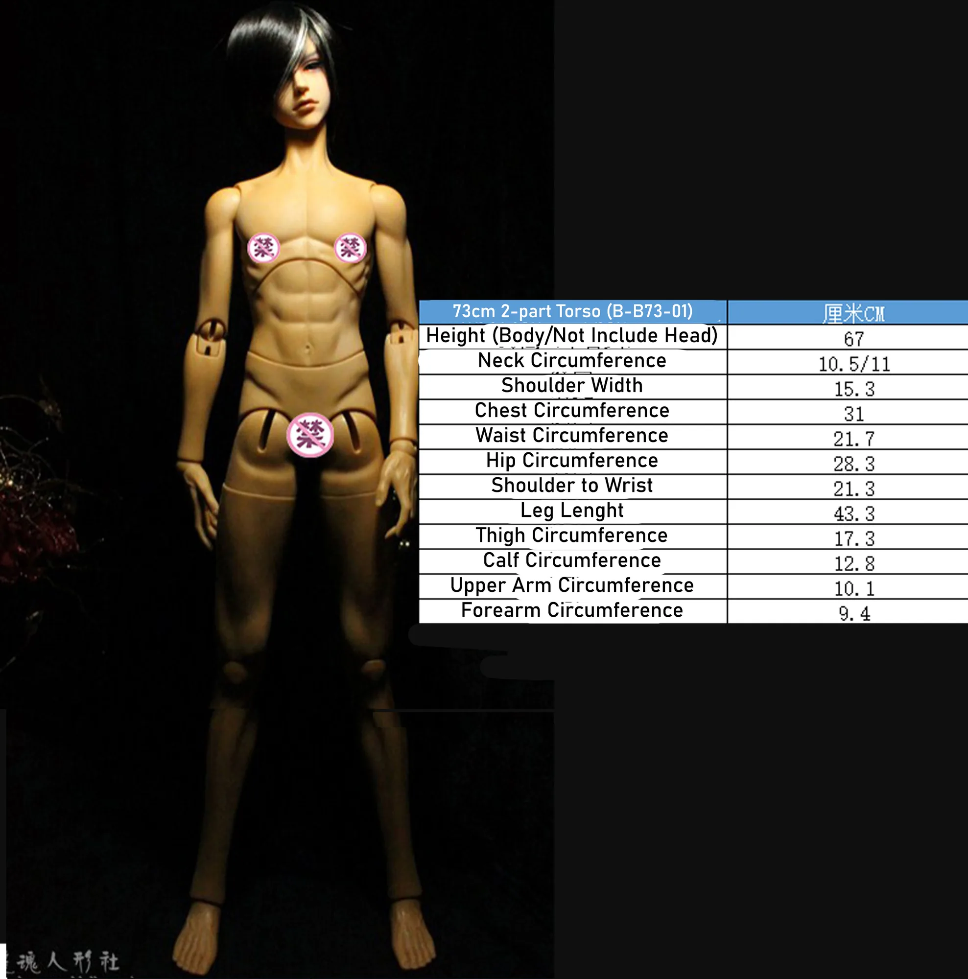「LoongSoul」Body Comparison (Measurement) / Only Body (1/6, 1/4, 1/3) - Image 5