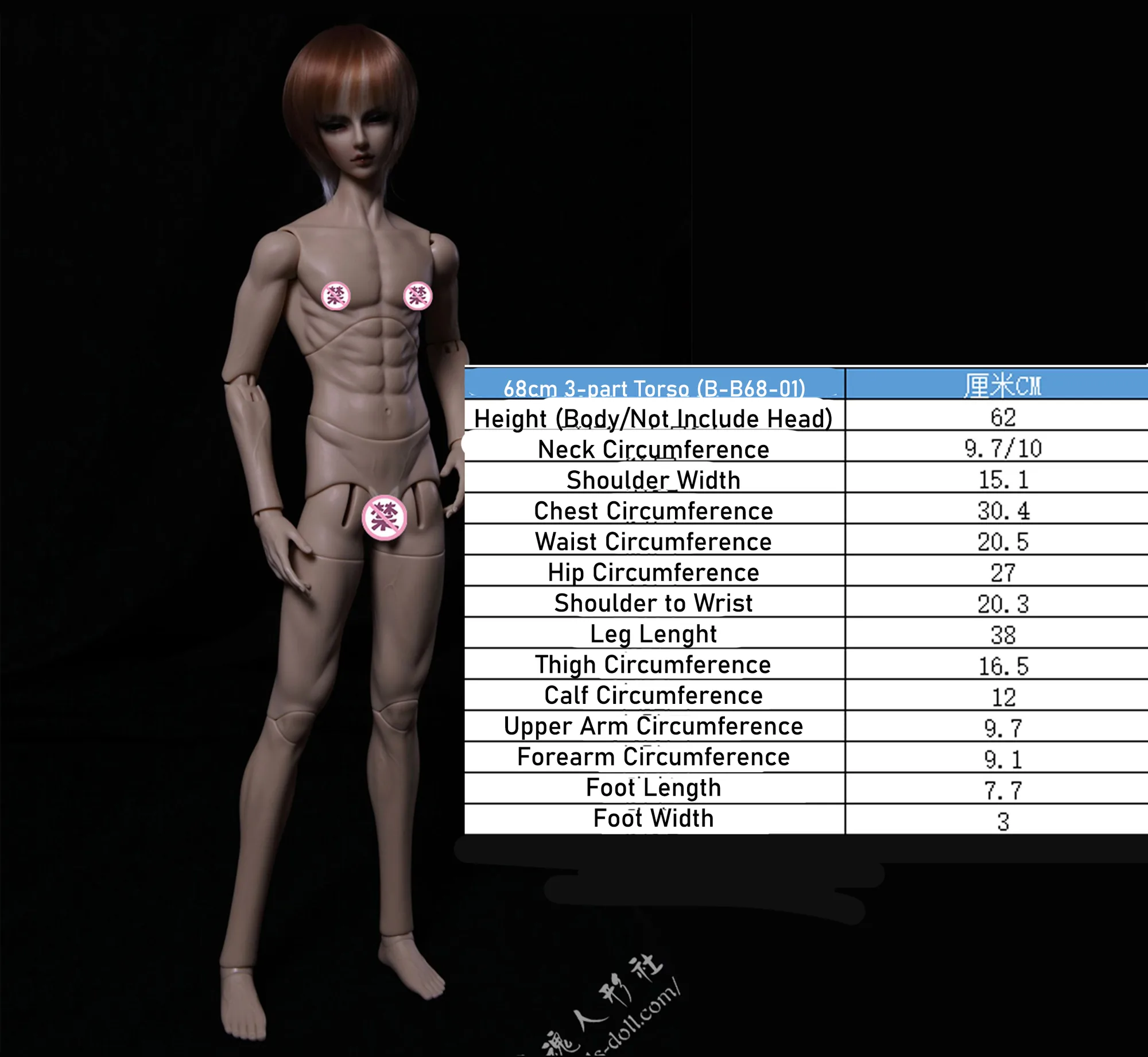 「LoongSoul」Body Comparison (Measurement) / Only Body (1/6, 1/4, 1/3) - Image 7