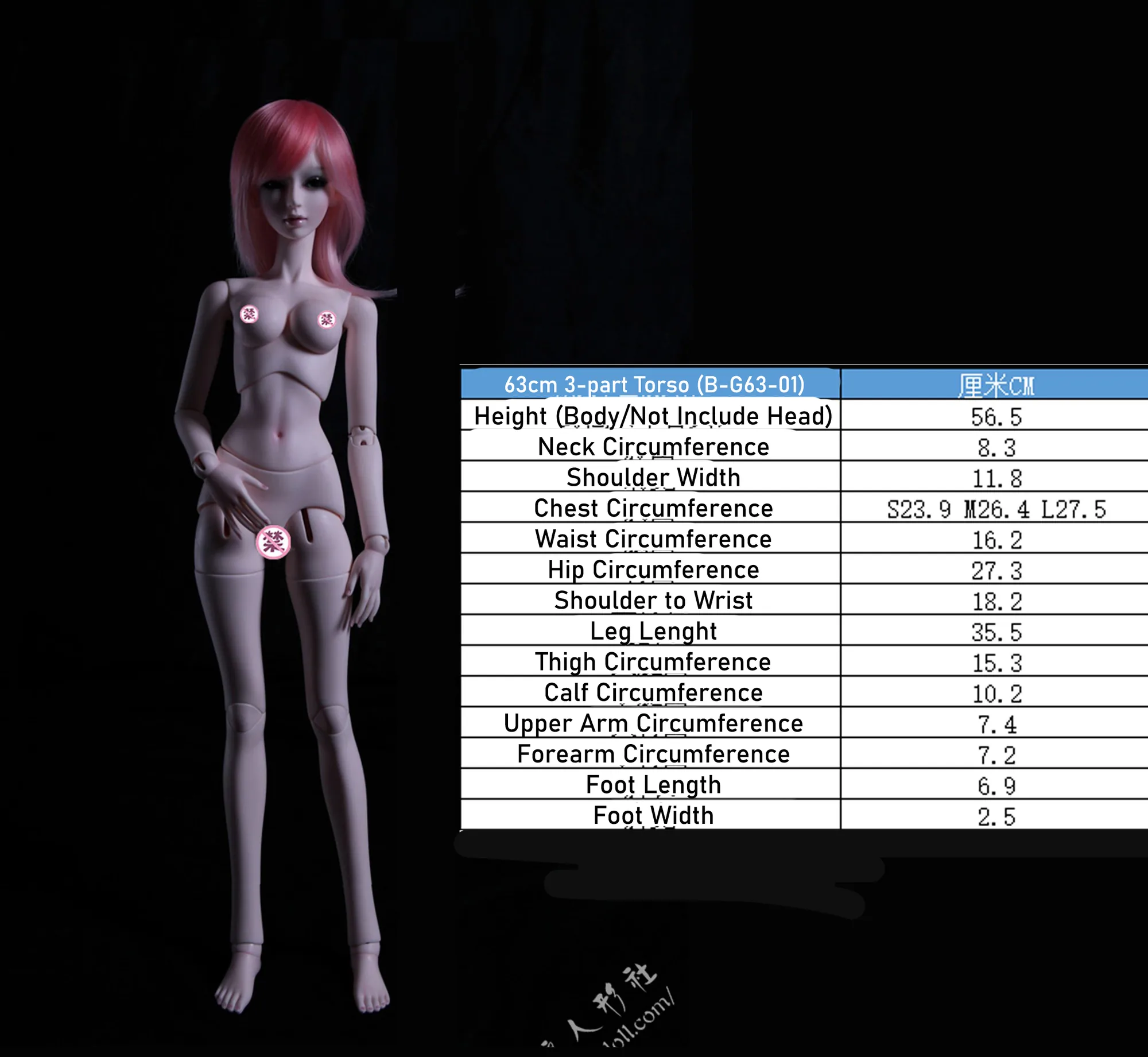 「LoongSoul」Body Comparison (Measurement) / Only Body (1/6, 1/4, 1/3) - Image 8