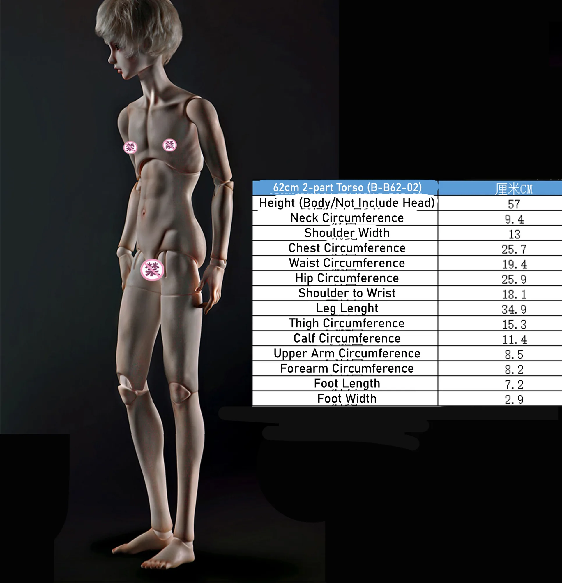 「LoongSoul」Body Comparison (Measurement) / Only Body (1/6, 1/4, 1/3) - Image 9