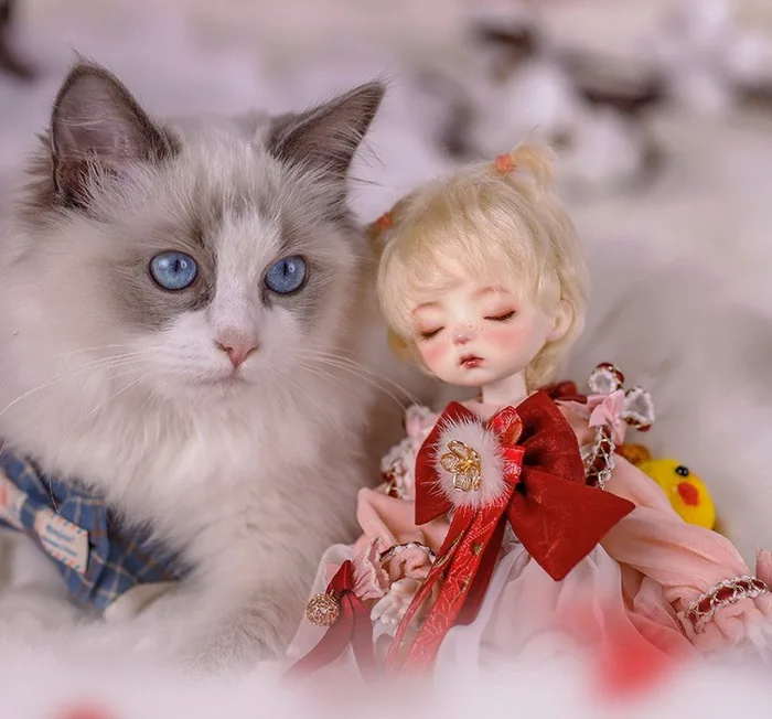 「Dollzone」Peach Sleeping ver BJD Doll (1/6) - Image 7