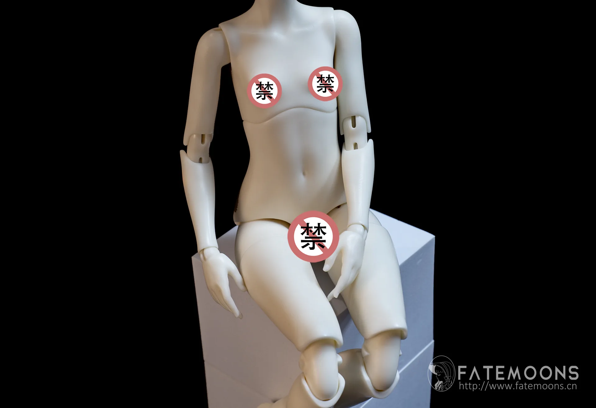 「Fatemoons」1/4 Girl Body (DB042101)