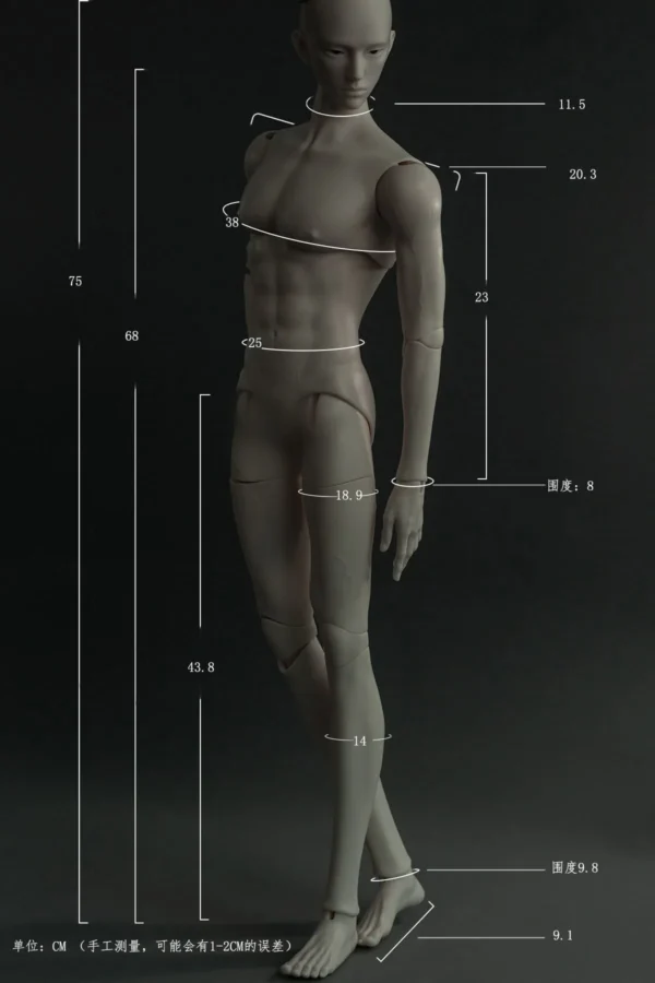 「Fatemoons」 75 cm BJD doll male uncle body only without head - Image 2