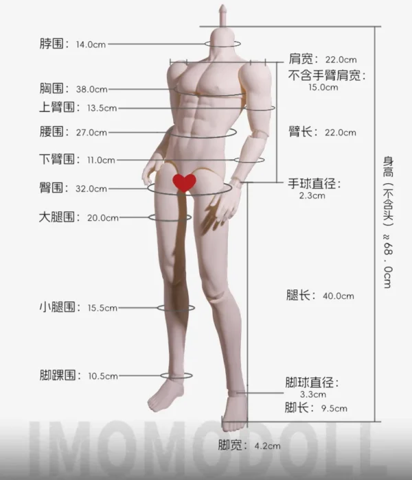 「Imomo」75cm MJD Body - Image 3