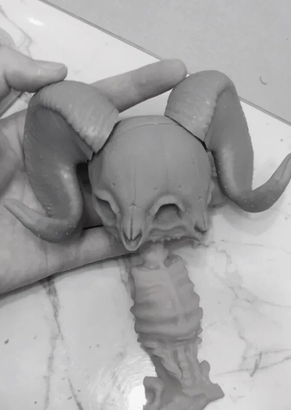 「JSDOLL」 Boney Chubby 1/4 1/3 Head Only - Image 4