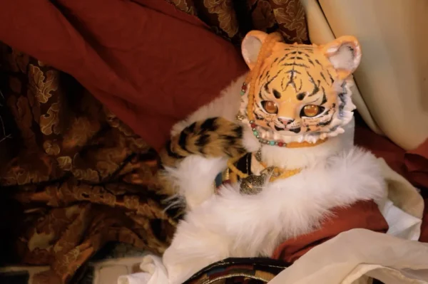 「JSDOLL」Tiger Chubby 1/4 1/3 Head Only - Image 2
