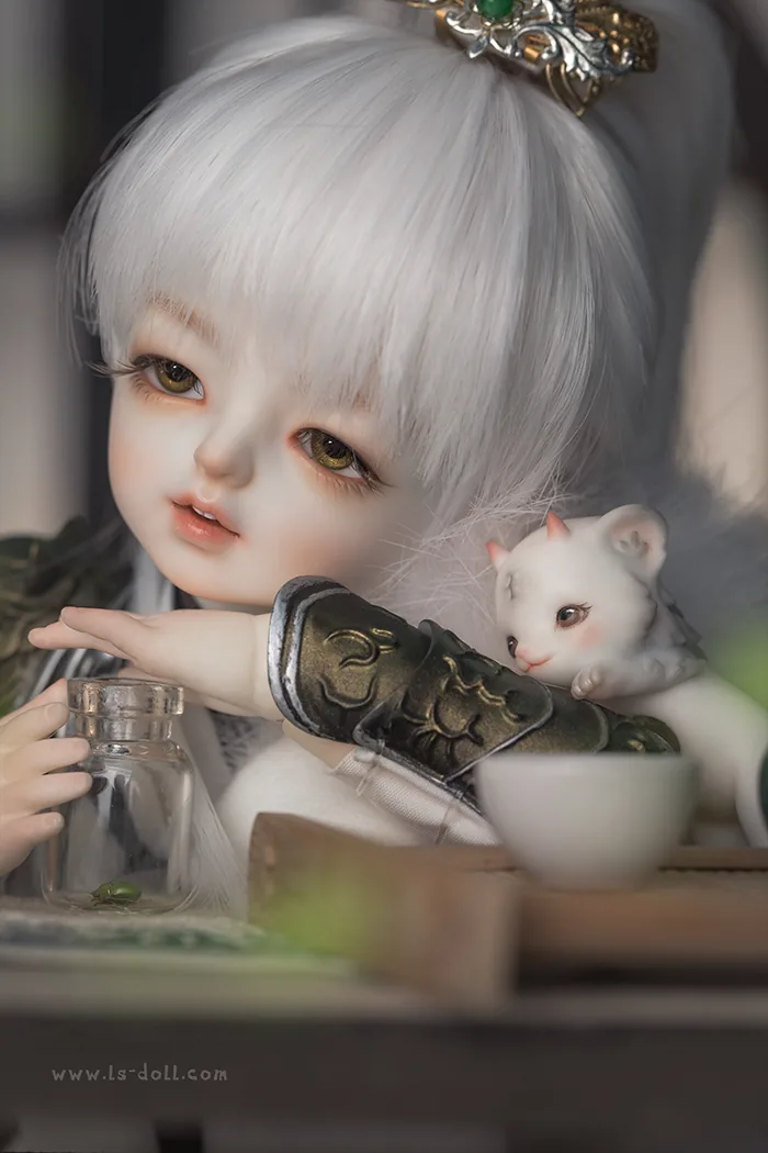 「LoongSoul」Little Wei Huo Hu BJD Doll (1/6)