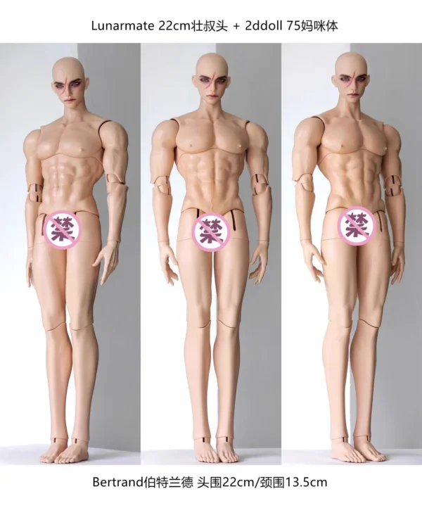 「Lunarmate」Scott (Opened Eyes ver) ID75 and above Doll Only - Image 9