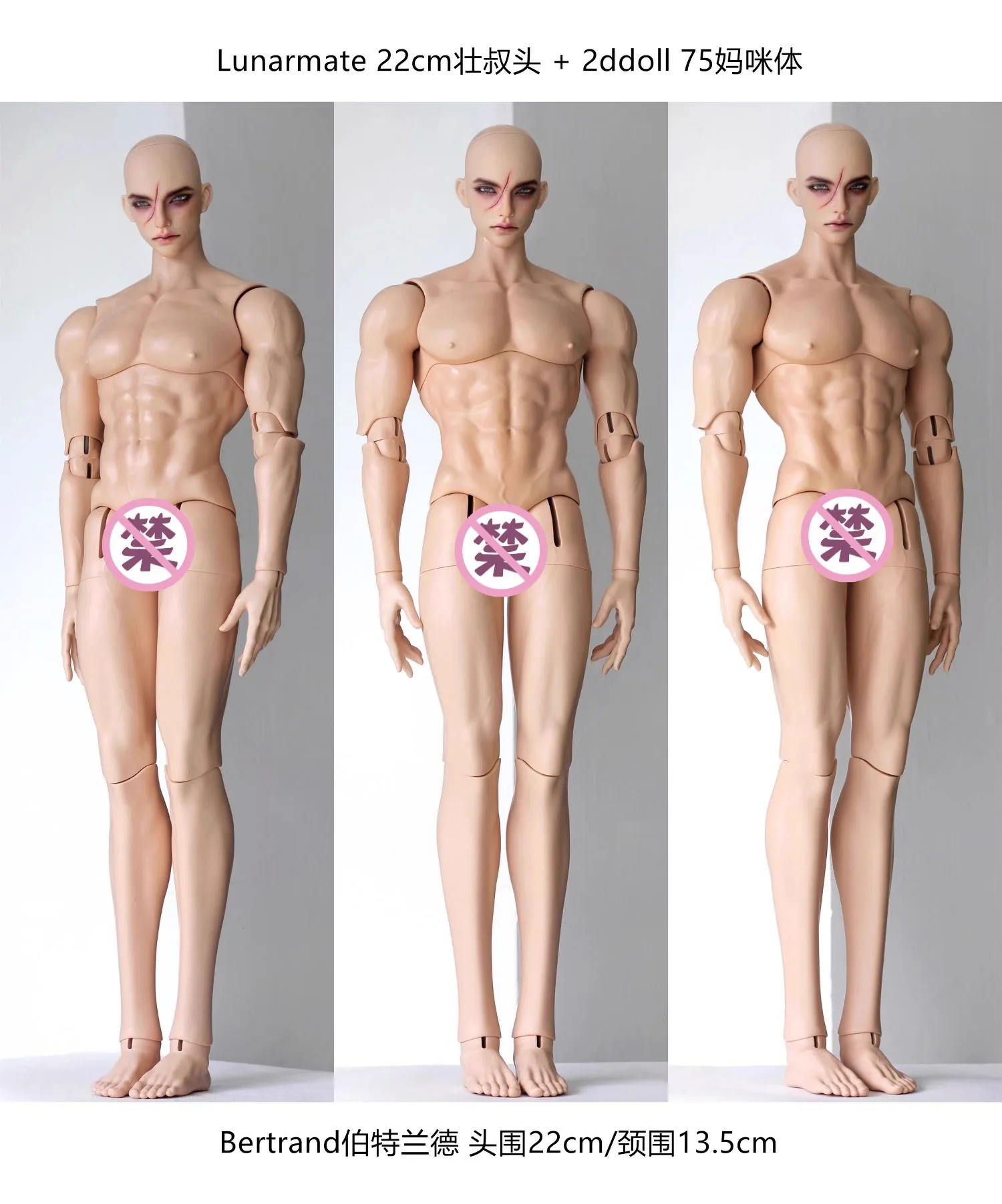 「Lunarmate」Scott (Opened Eyes ver) ID75 and above Doll Only - Image 9