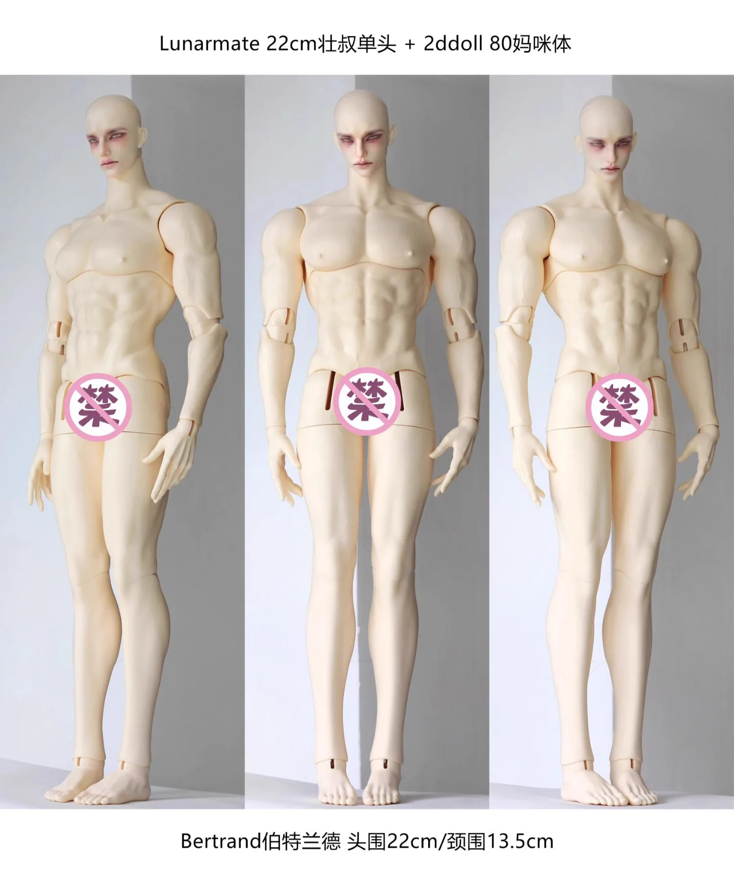 「Lunarmate」Scott (Opened Eyes ver) ID75 and above Doll Only - Image 10