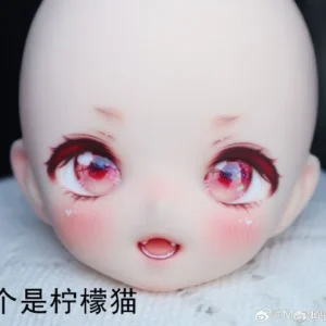 「MayDoll」Lemon Cat BJD Head/ Full Doll Only (1/4)