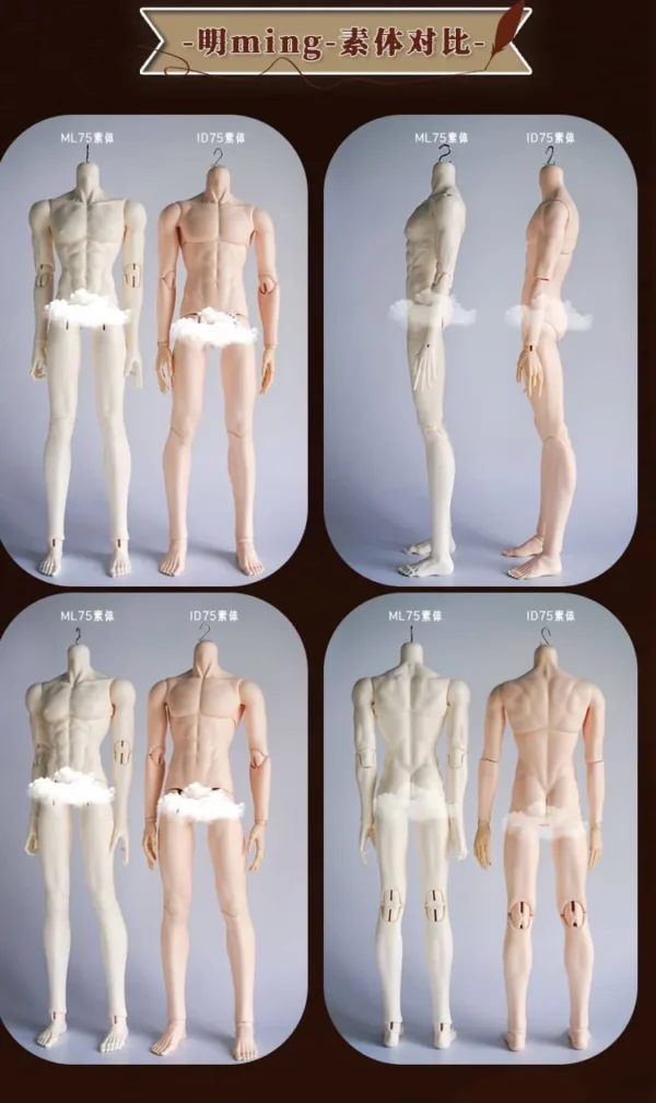 「Menglong」75cm Male BJD Doll Body Only - Image 2