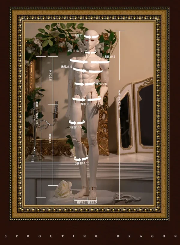 「Menglong」75cm Male BJD Doll Body Only - Image 7