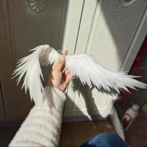 「MoMo」BJD Angel and Devil Wings (Pairs)