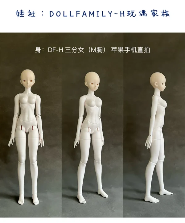 「Neko」Liquor BJD Doll (Female ver) (1/3) - Image 8