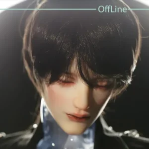 「OffLine」Crystal Body 1/6 Special Edition BJD Head/Doll