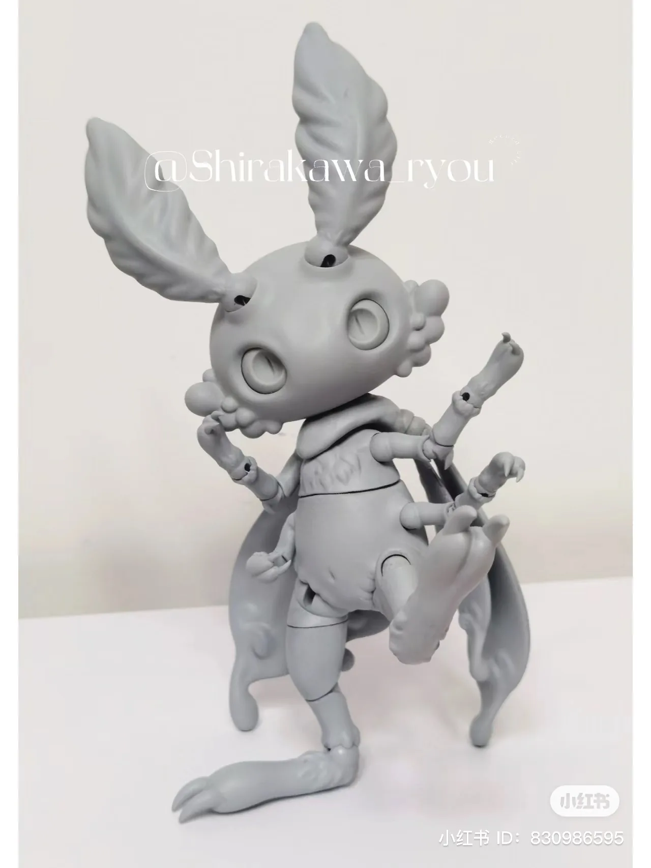 「Shirakawa」 RuoKui BJD Full Doll (1/8)