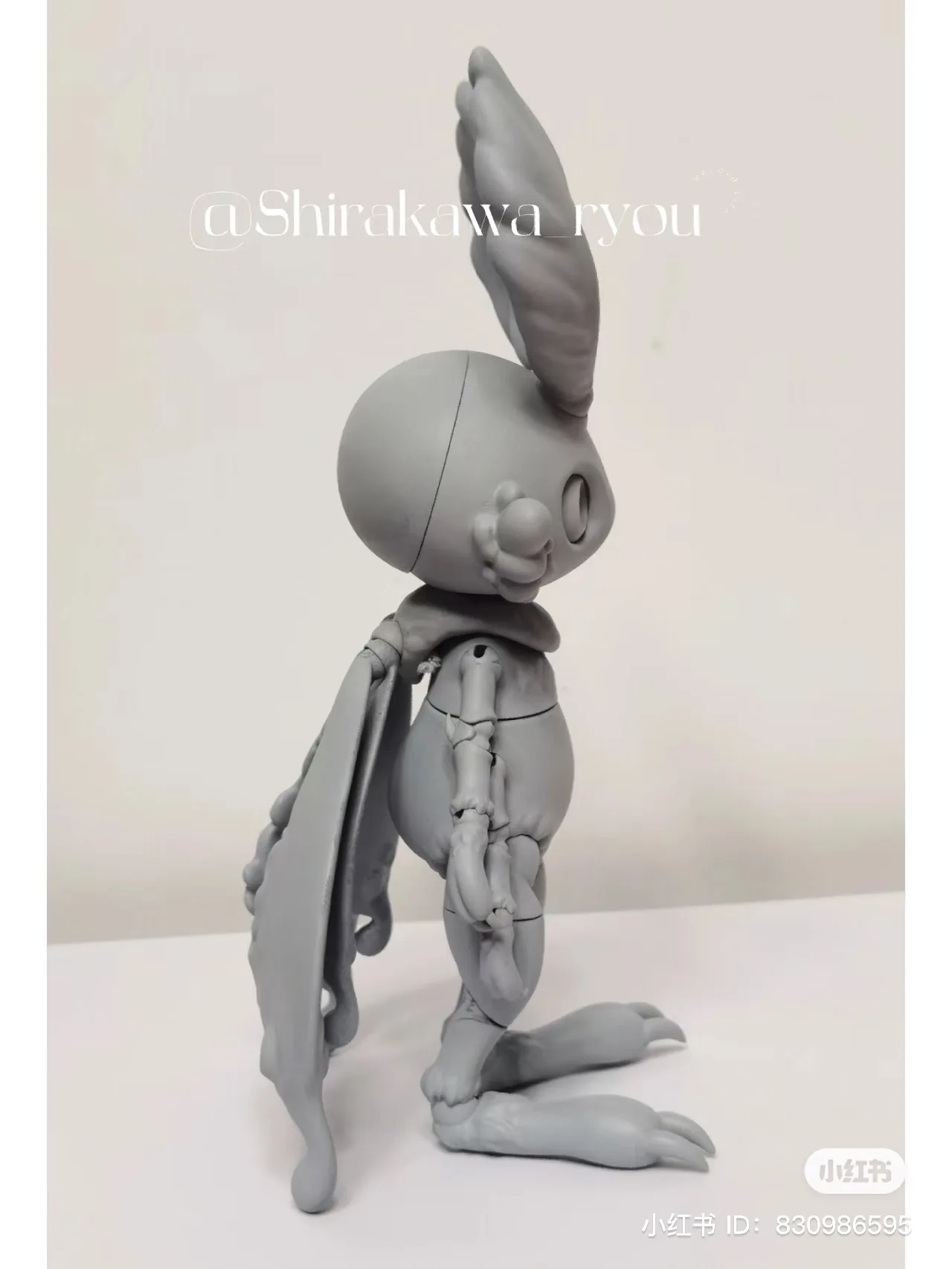 「Shirakawa」 RuoKui BJD Full Doll (1/8) - Image 3
