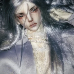 「SPINES」Fushiya SD 1/3 BJD Head only