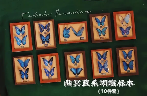 「Tata」Mini 3D butterfly Specime (OB11 / 1/12 l 1/8 l 1/6 l 1/4 l 1/3) Props ONLY - Image 10