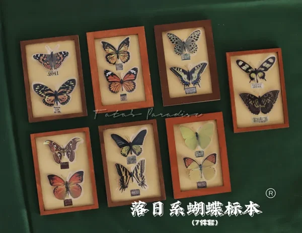 「Tata」Mini 3D butterfly Specime (OB11 / 1/12 l 1/8 l 1/6 l 1/4 l 1/3) Props ONLY - Image 11