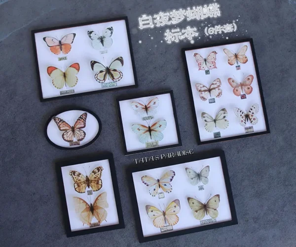 「Tata」Mini 3D butterfly Specime (OB11 / 1/12 l 1/8 l 1/6 l 1/4 l 1/3) Props ONLY - Image 3
