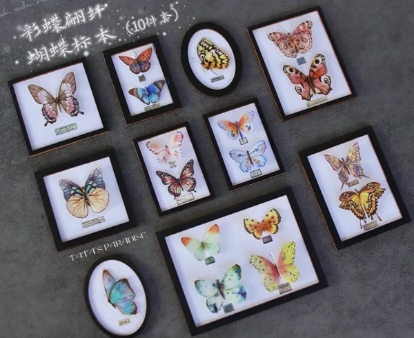 「Tata」Mini 3D butterfly Specime (OB11 / 1/12 l 1/8 l 1/6 l 1/4 l 1/3) Props ONLY - Image 4