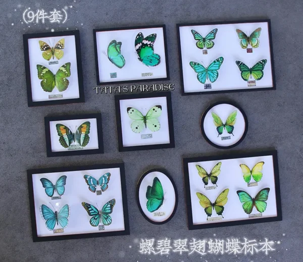 「Tata」Mini 3D butterfly Specime (OB11 / 1/12 l 1/8 l 1/6 l 1/4 l 1/3) Props ONLY - Image 5