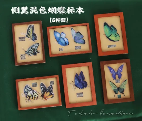 「Tata」Mini 3D butterfly Specime (OB11 / 1/12 l 1/8 l 1/6 l 1/4 l 1/3) Props ONLY - Image 6