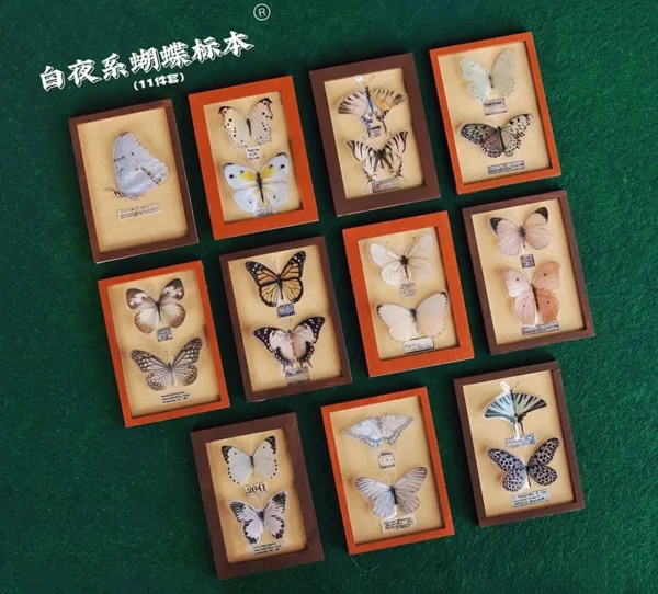 「Tata」Mini 3D butterfly Specime (OB11 / 1/12 l 1/8 l 1/6 l 1/4 l 1/3) Props ONLY - Image 7